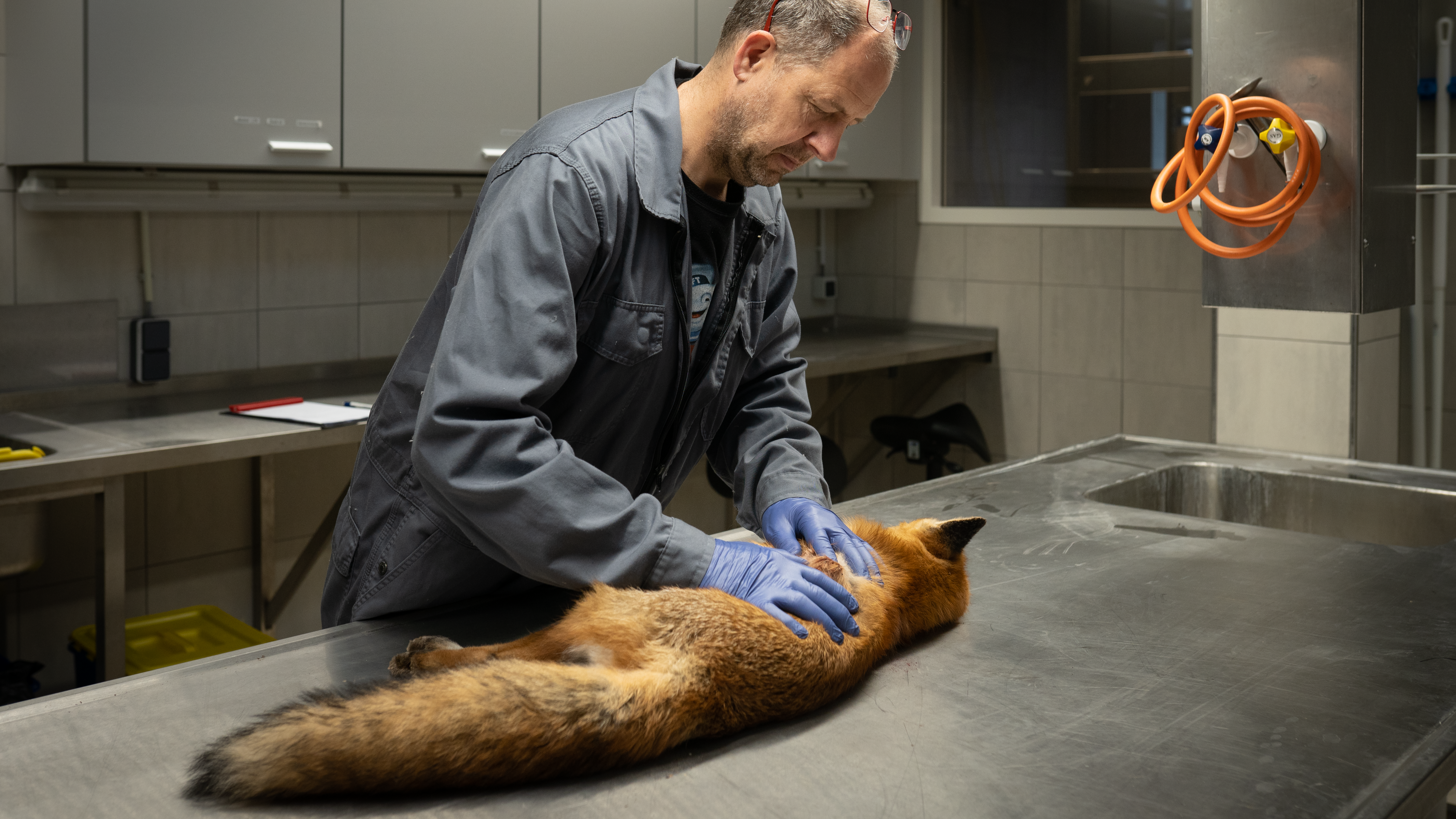 Foto: WUR/Maarten Spoek