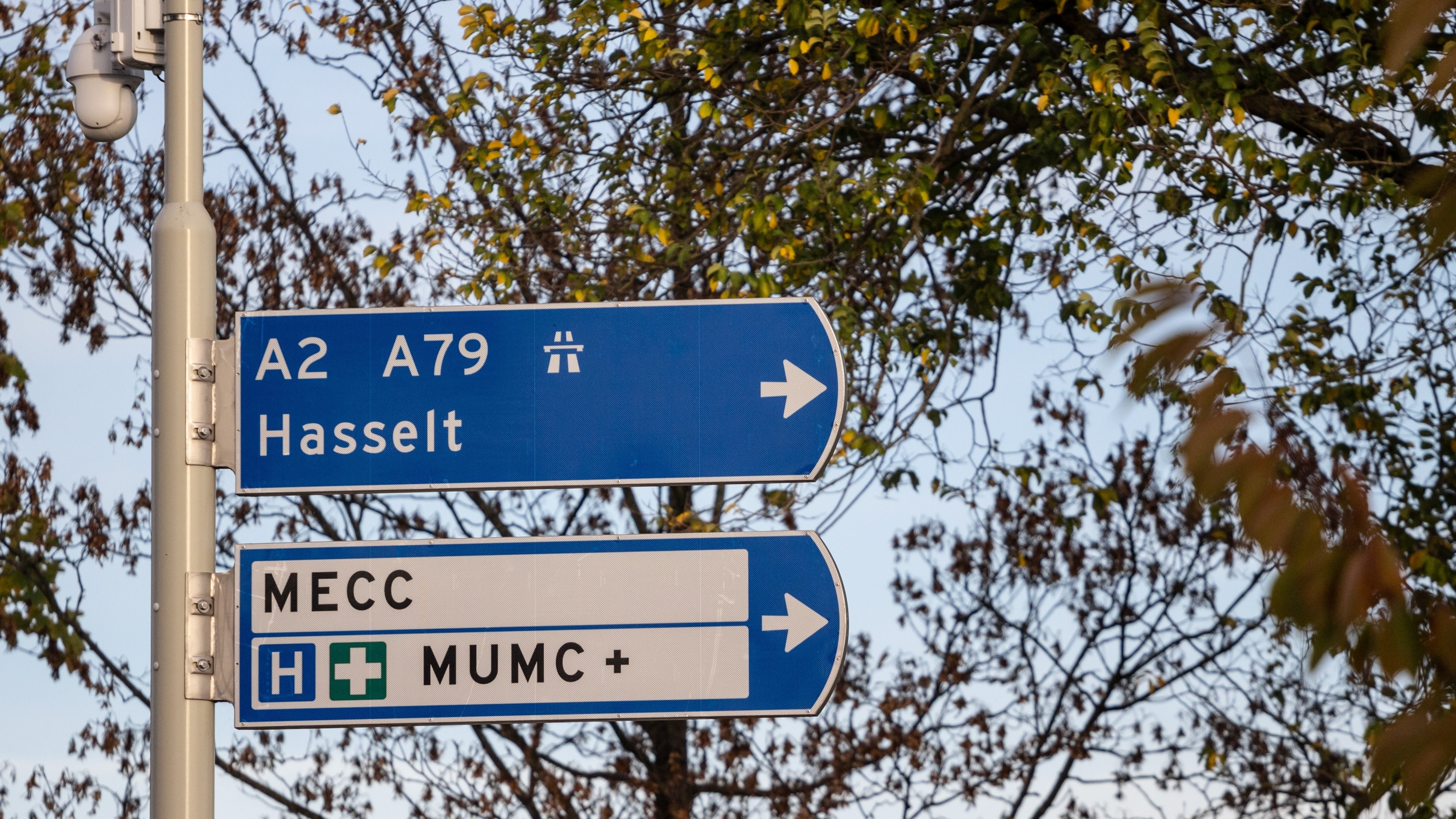 Beeld: Shutterstock